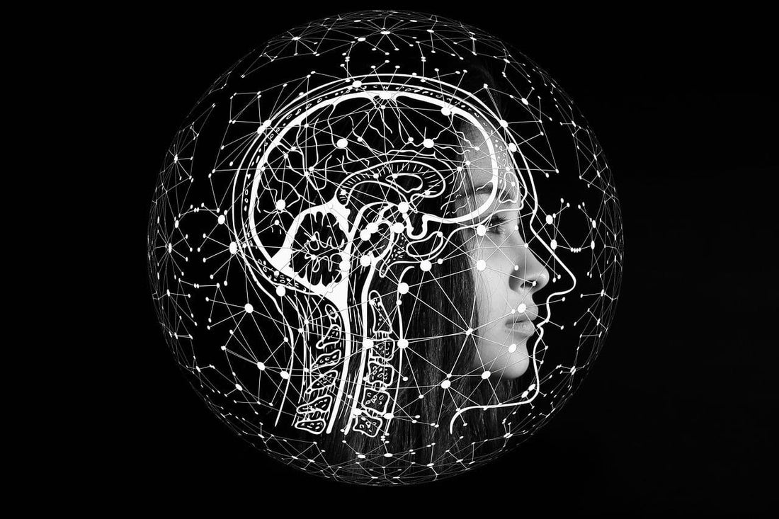 Sea moss brain benefits