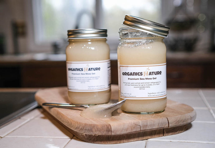 8 Ways to Use Sea Moss Gel in Your Daily Routine